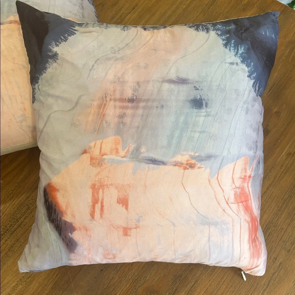 Pair of Crate&Barrel Watercolor Feather Down Pillows